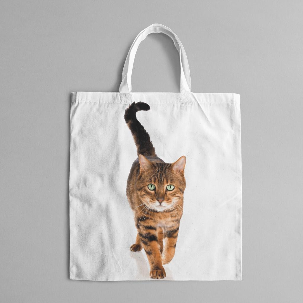 bolsa_personalizada_artsbettin_gato2