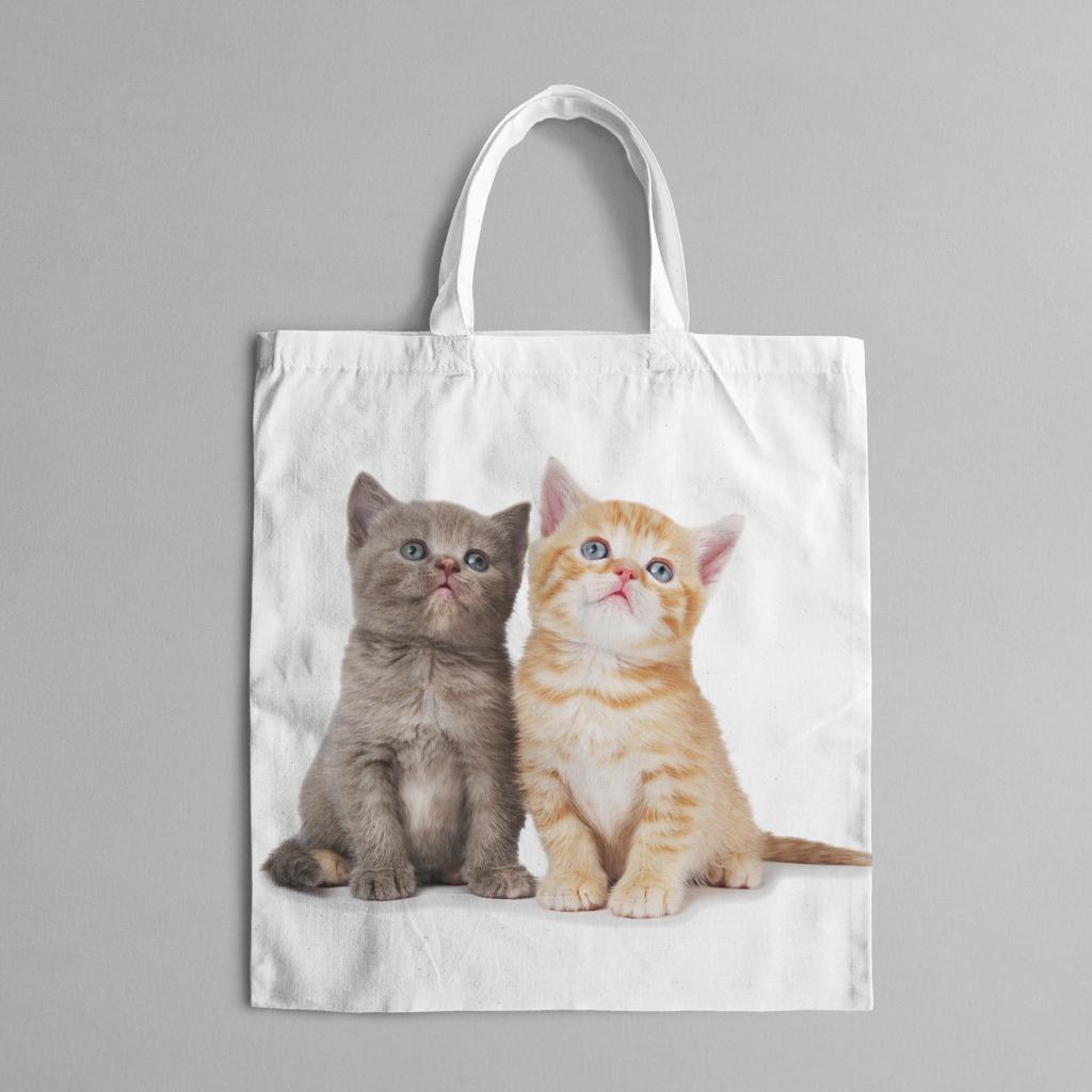 Bolsa con dos gatos pequeños sentados