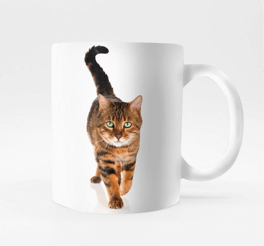 taza_bettin_personalizada_gato