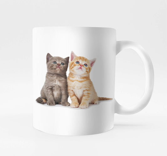 taza_bettin_personalizada_gatos